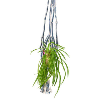 In The Mood Collection Pot Holder Blue Macrame 110 cm