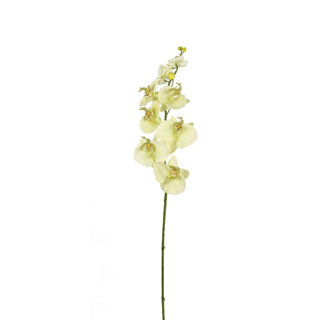 Crema di orchidea per fiori d'arte 85 cm