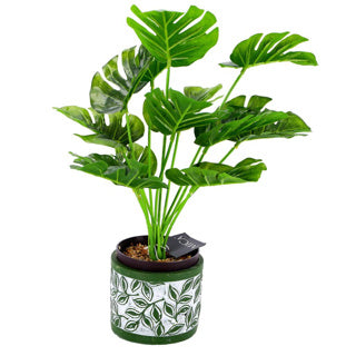 Pot Olea Cylinder verde 11 cm
