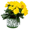 No brand pot olea cylinder groen 11 cm | 6 stuks