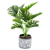 Pot Olea Cylinder Grey 11 cm