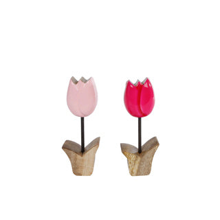 Escultura bloem tulp s 2 surti