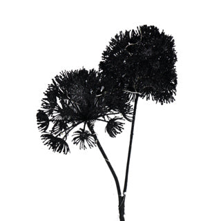 ART Flower Heracleum Countryfield a LED Nero 75 cm