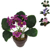 Pianta artificiale in vaso violino 16 cm 4 assorchi
