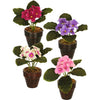 Pianta artificiale in vaso violino 16 cm 4 assorchi