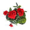 Pianta artificiale Geranium rosso in vaso grigio