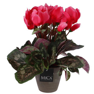 Plant Cylamen Pink di pianta artificiale in pentola
