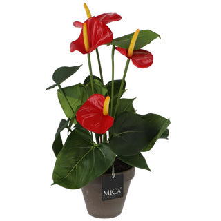 Pianta artificiale Anthurium rosso in pentola