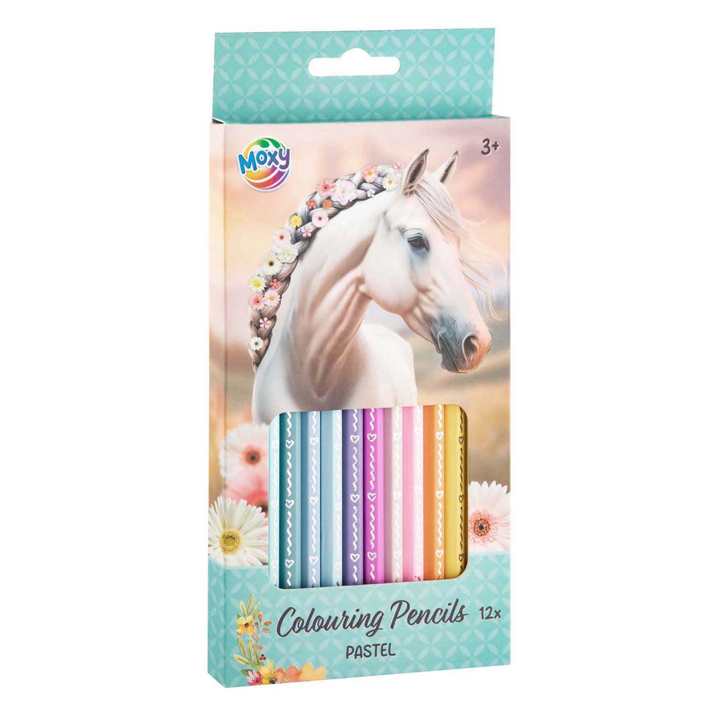 Matite colorate pastello per gruppo creativo artigianale - 12 pz.