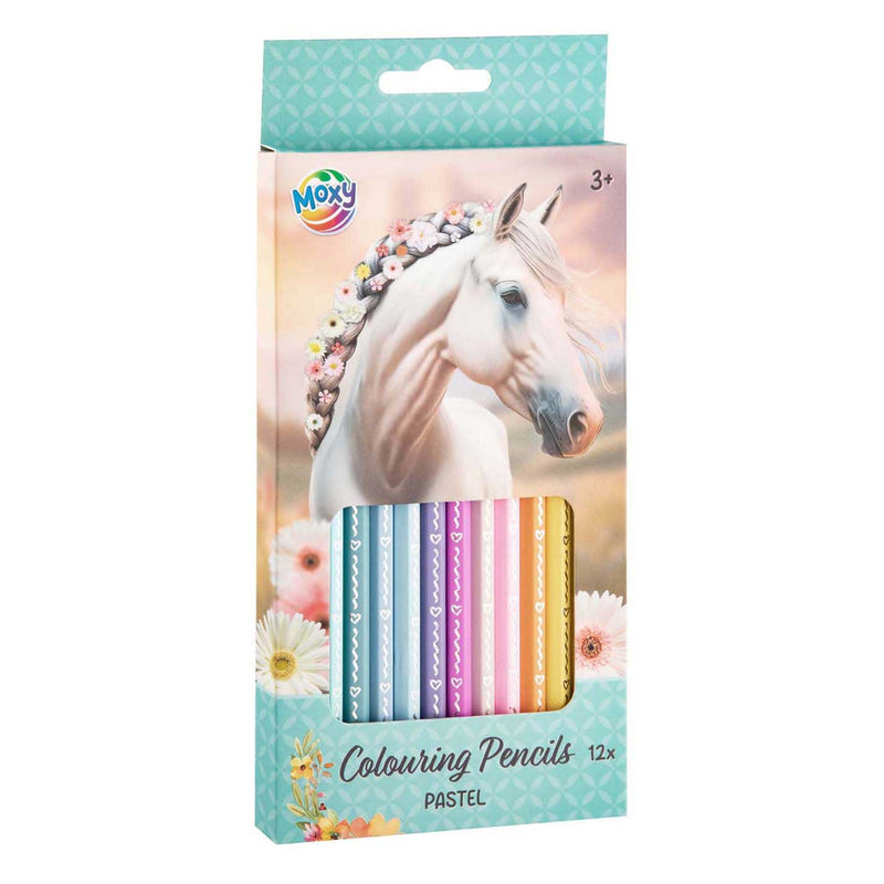 Matite colorate pastello per gruppo creativo artigianale - 12 pz.
