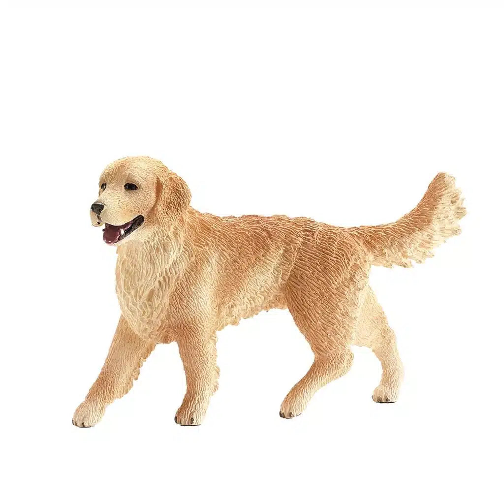 Golden Retriever de Golden Retriever 16395