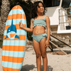 Tiburón trópico | Tabla de surf inflable con multicolor