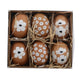 | 5 stuks