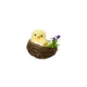 Chick in Nest Foam 4 Assorti Pasqua