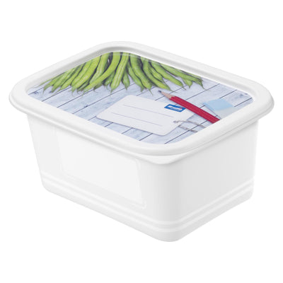 Juego de cajas congeladoras Rotho 4 piezas 0,75 l
