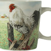 Wiebe van der Zee Wiebe's Farm mini tazza pollo 23cl 6 pz