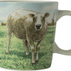 Wiebe van der Zee Wiebe's Farm mini tazza pecora 230ml scatola da 6 pezzi in porcellana