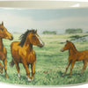 Wiebe van der zee wiebe's farm cuenco caballo ø13cm 6uds