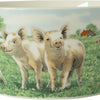 Wiebe van der zee Wiebe's Farm Ciotola Maiale ø13cm 6 pz