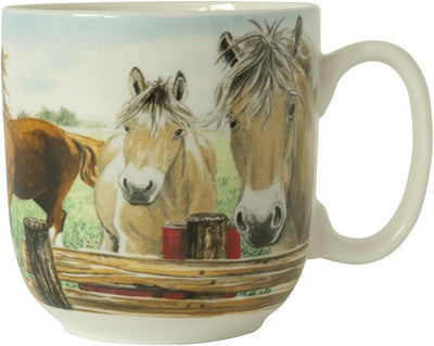 Wiebe van der Zee Wiebe's Farm Cup XL Cavallo 41cl 6pz