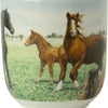 Wiebe van der zee wiebe's farm beker xl paard 410mll doos a 6 stuks porselein