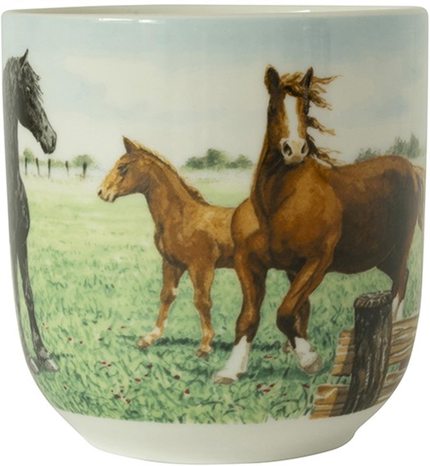 Wiebe van der zee wiebe's farm beker xl paard 41cl 6st