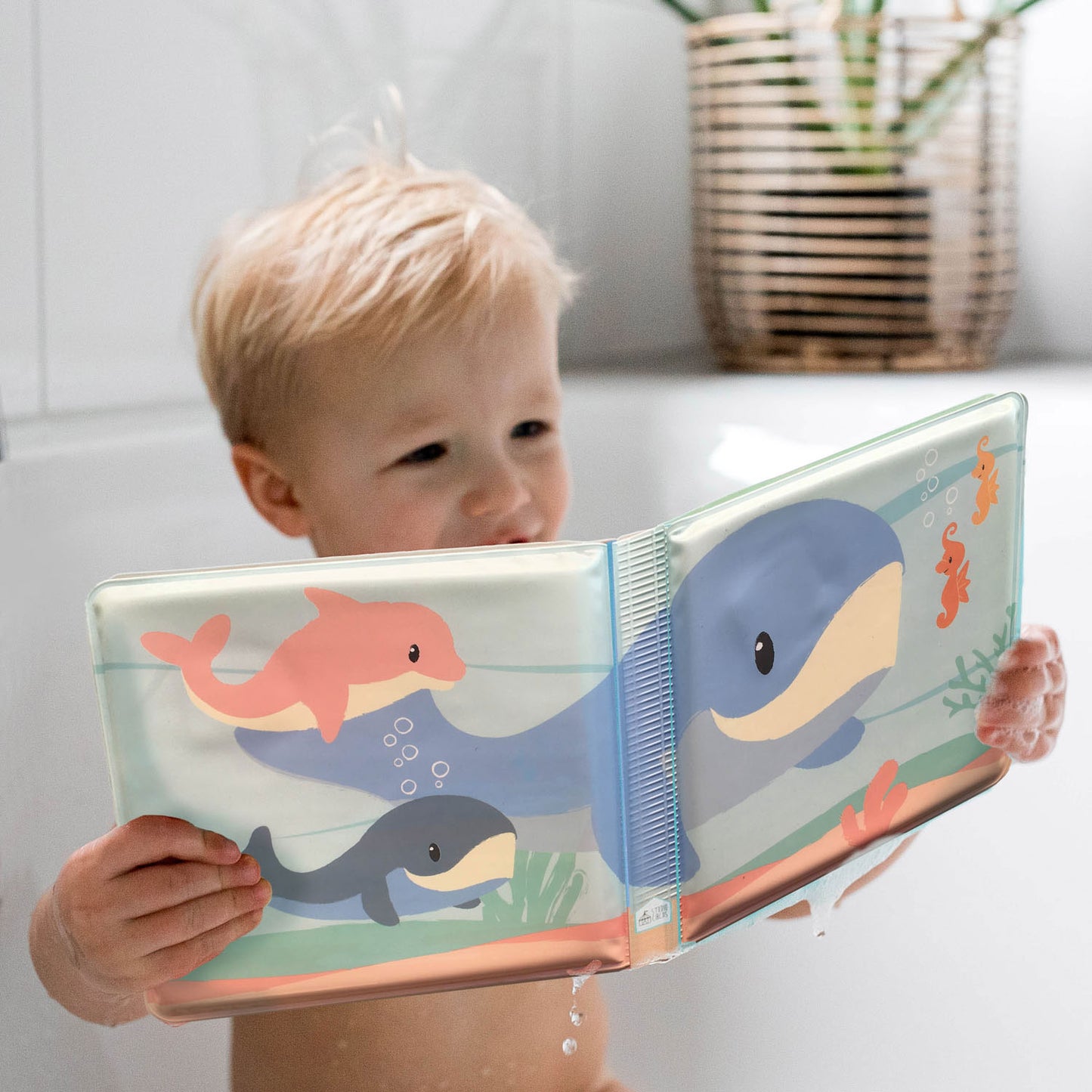 Bambolino Toys Studio Circus Bothbook Seafiends