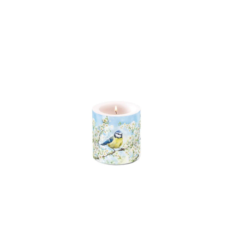 Candela ambientale piccola fioritura