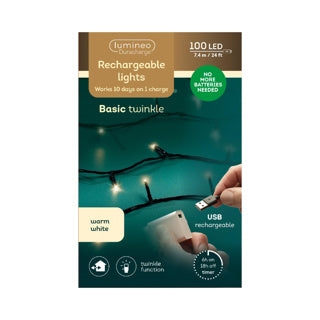 Kaemingk luces led duracharge basic 8 funciones efecto centelleo exterior 742.5cm | 2 piezas