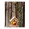 Porta-mela porta cibo per uccelli