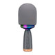 Altavoz con micrófono de karaoke