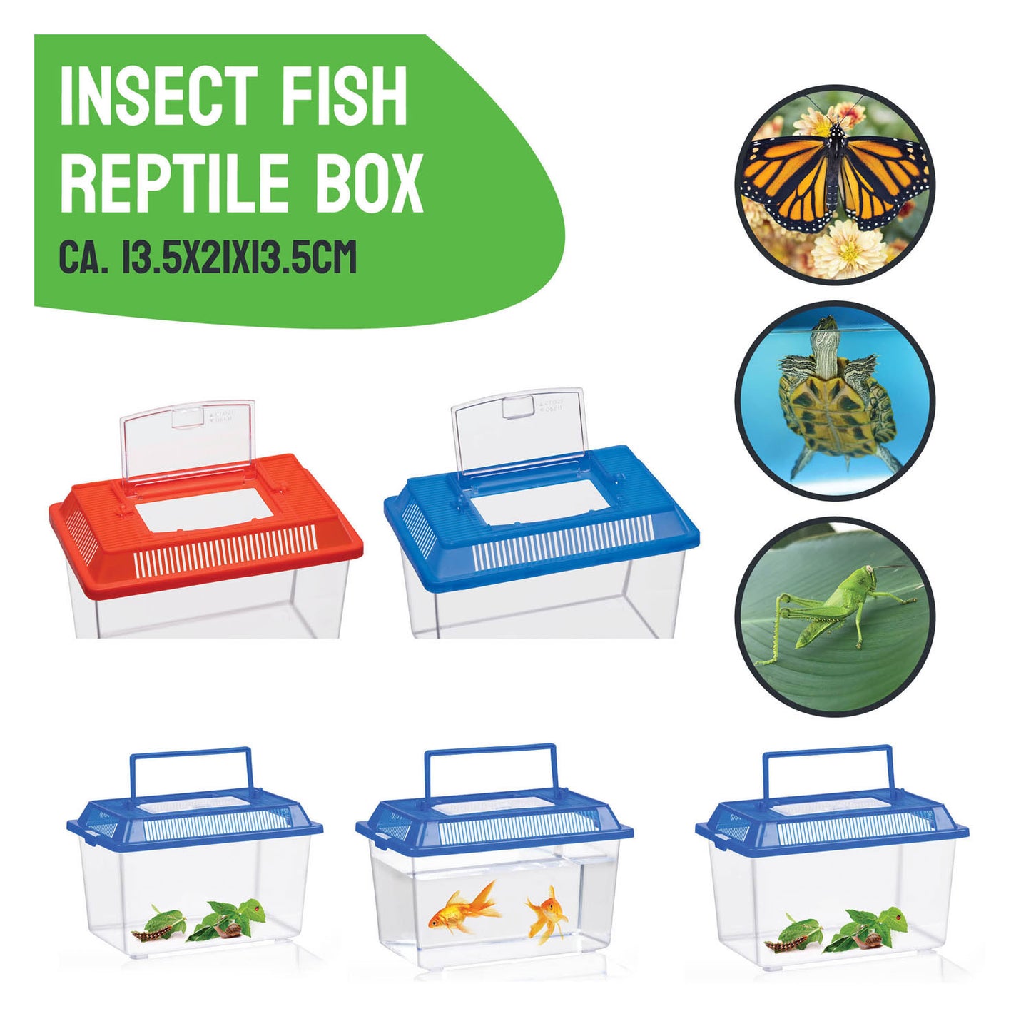 Caja de insectos con tapa
