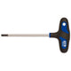 Ciclo del cacciavite Cycplus con T-GREEP Torx 25 120 mm