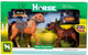Cavallo a cavallo con puledro e vari accessori