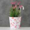Boltze home hangende bloempot rosella ø13xh24cm