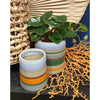 Hbx natural living bloempot bomba ø8,5xh10cm