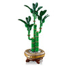 Lego ® botanicals bamboe - plantendecoratie - 10344