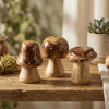 Boltze home fungo in legno marrone con piano lucido