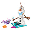 Lego Disney Princess 43287 Il divertente picnic di Olaf e Bruni