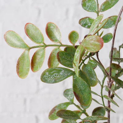 Boltze decorazione domestica ramo foglia l94 cm