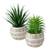 Boltze home pianta artificiale pianta succulenta h13,3 cm