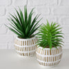 Boltze home pianta artificiale pianta succulenta h13,3 cm