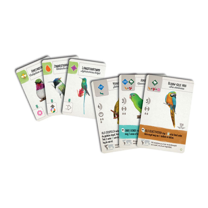 999games 999 giochi Wingspan: gioco da tavolo centro e sud america (espansione, olandese, 1 - 5 giocatori, 40 - 70 minuti, da 10 anni)