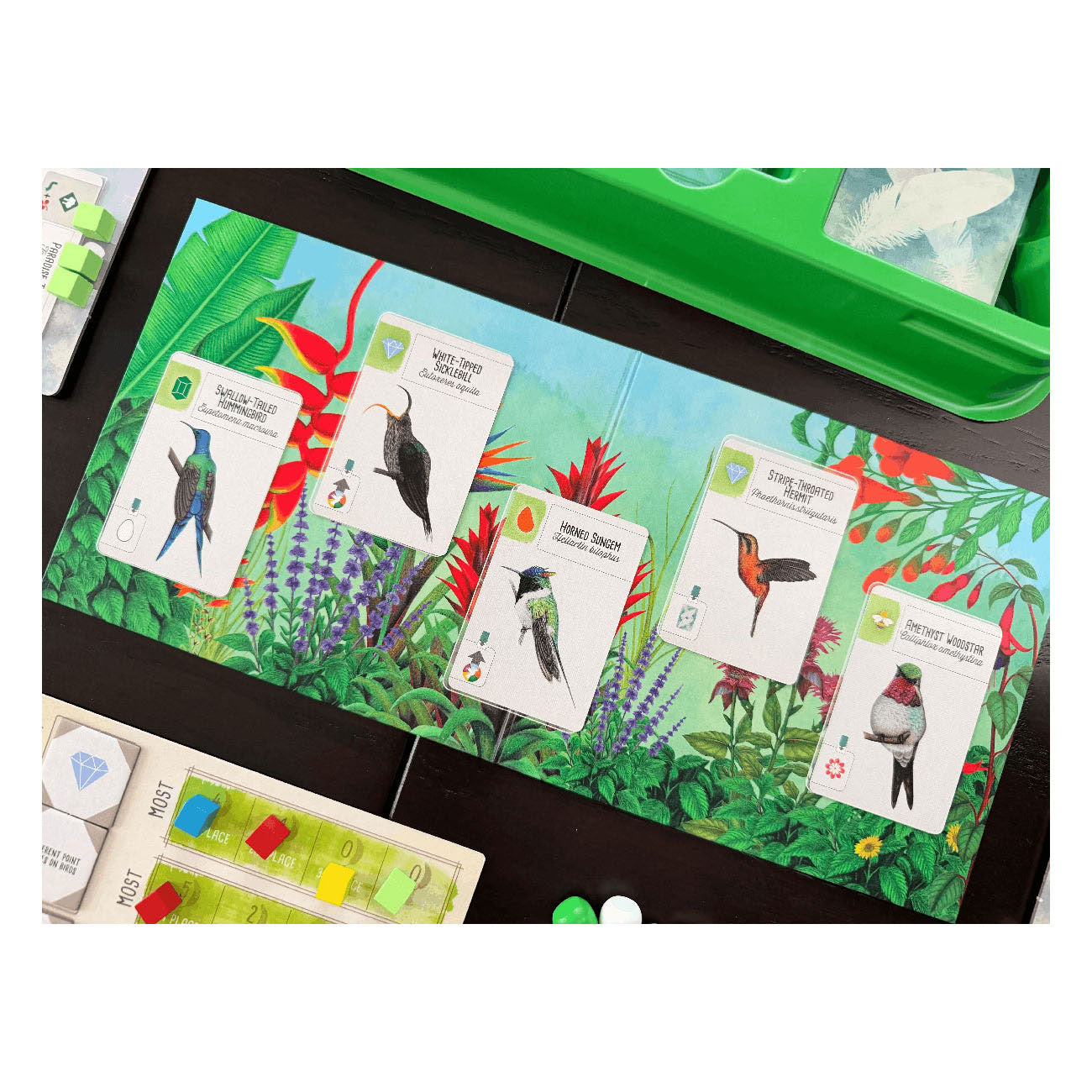 999games 999 giochi Wingspan: gioco da tavolo centro e sud america (espansione, olandese, 1 - 5 giocatori, 40 - 70 minuti, da 10 anni)