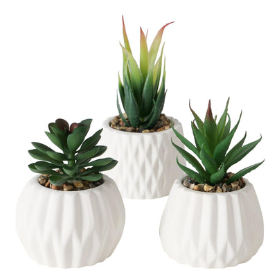 Boltze home pianta grassa artificiale in vaso bianco h15cm