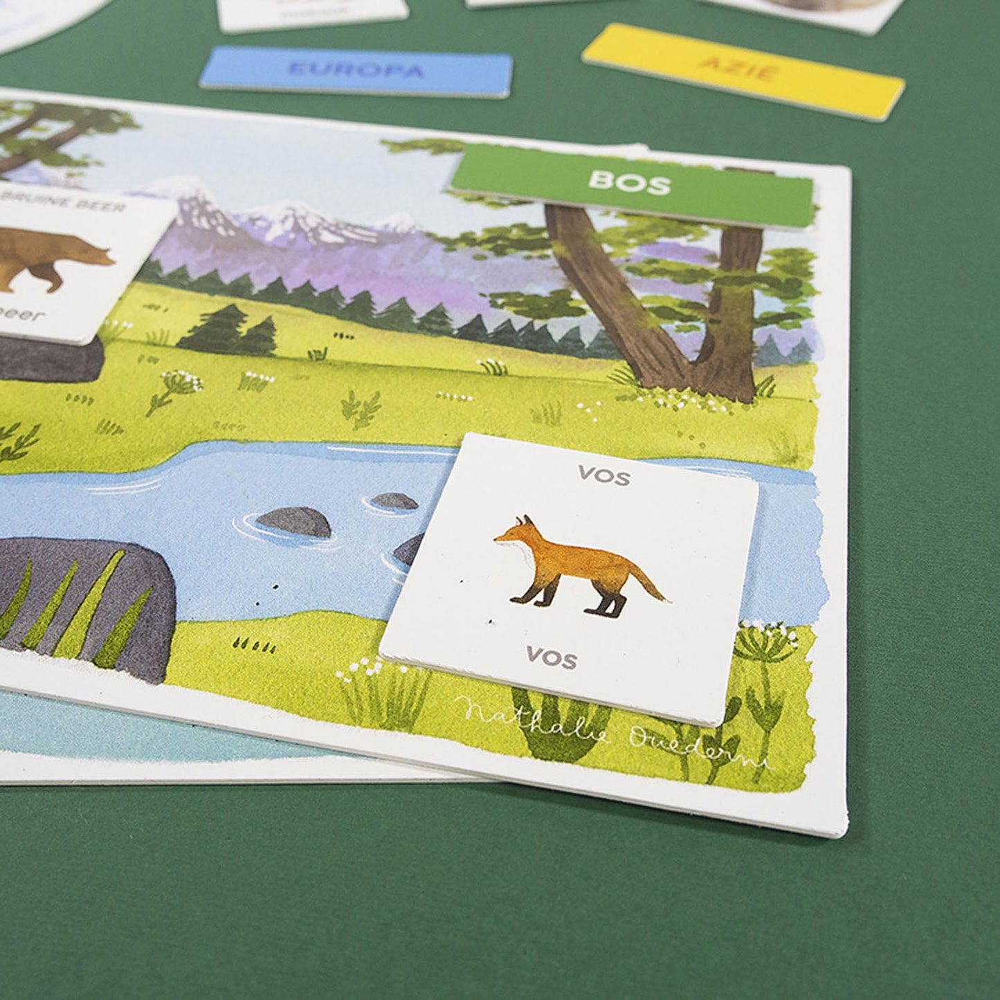 Jumbo Aprendo a descubrir un juego educativo animal