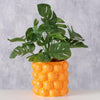 Vaso da fiori Boltze Home arancione h15cm