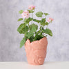 Boltze home macetero pez h22cm rosa