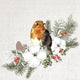 Tovaglioli Duni Robin Forest 24x24 cm