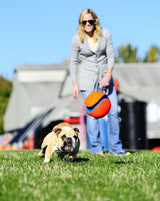 Chuckit kick fetch - afbeelding 4